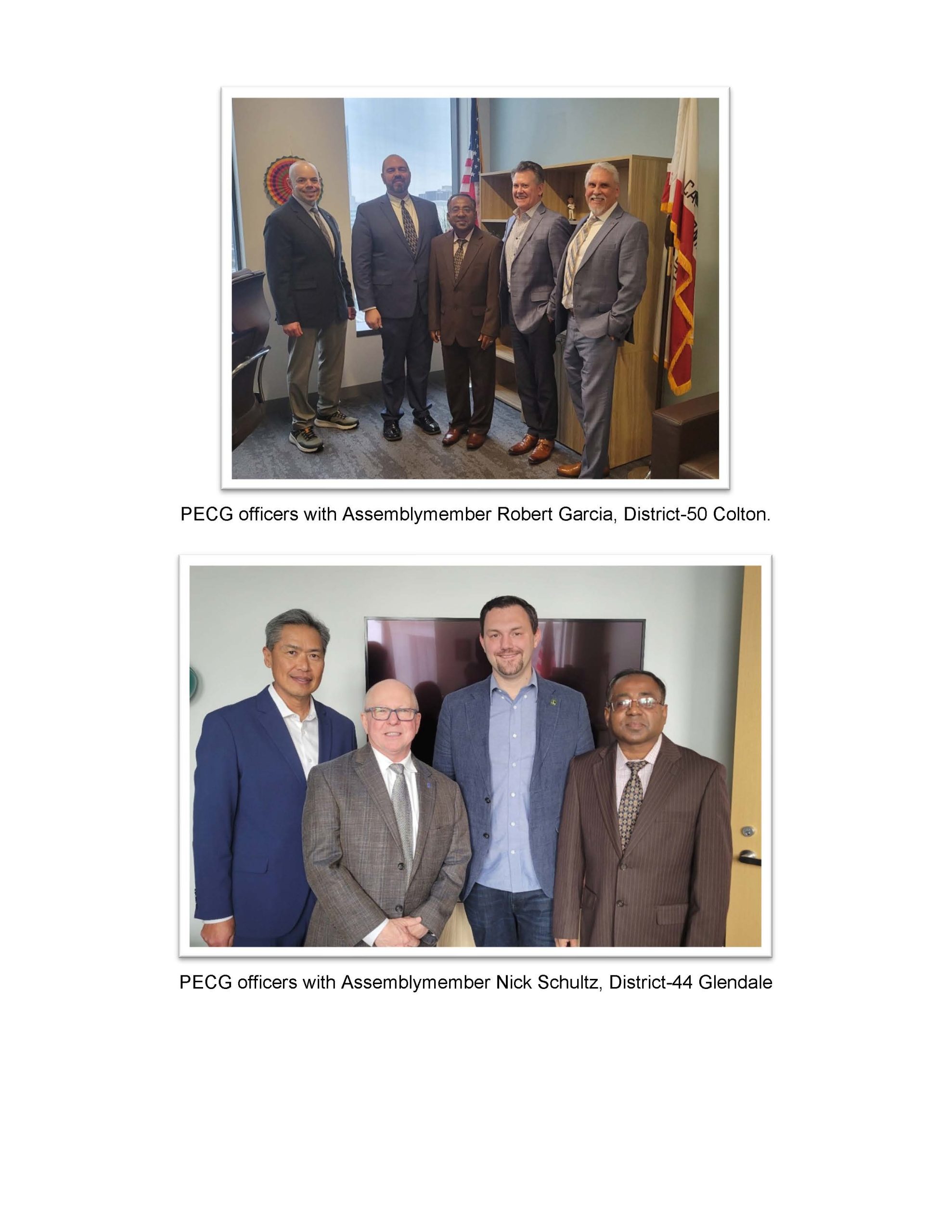 March-2025-LA-Section-PECG-Board-Report_Page_5